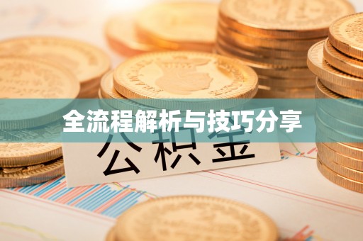 额尔古纳全流程解析与技巧分享
